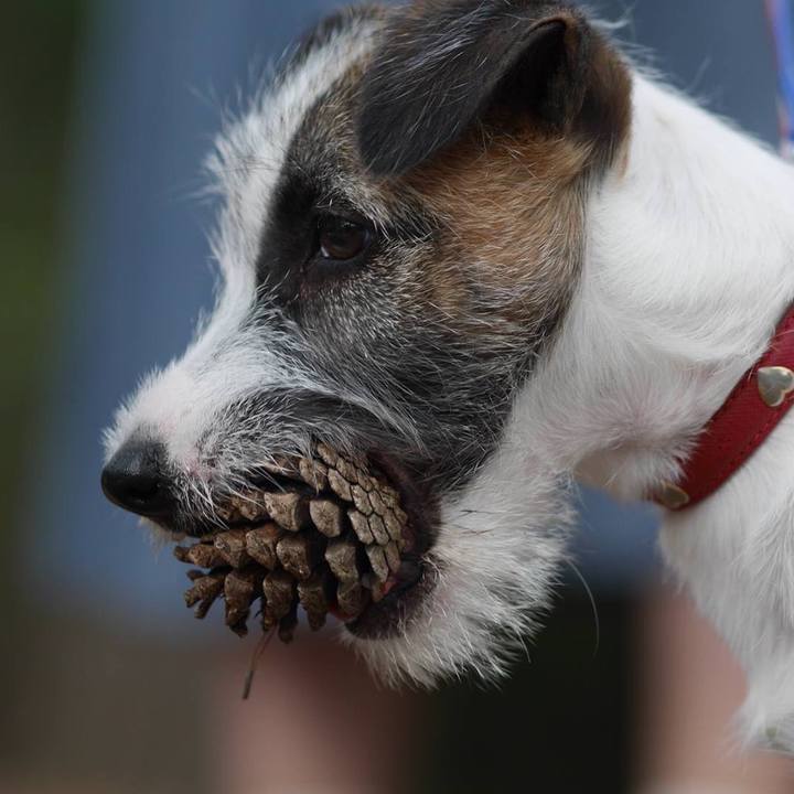 4485b608 7885 4955 836f d0825206cbaa