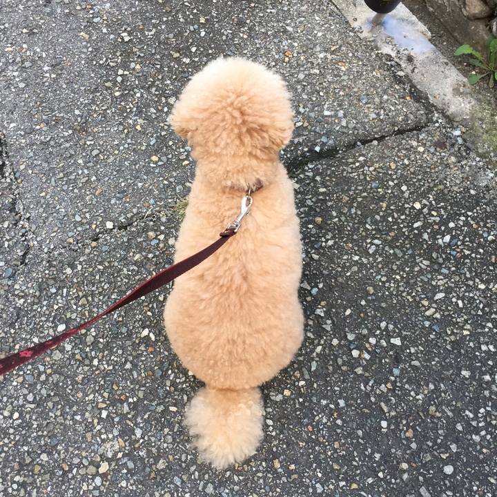 448735ee 2fce 4df4 a833 d64fb48182b3