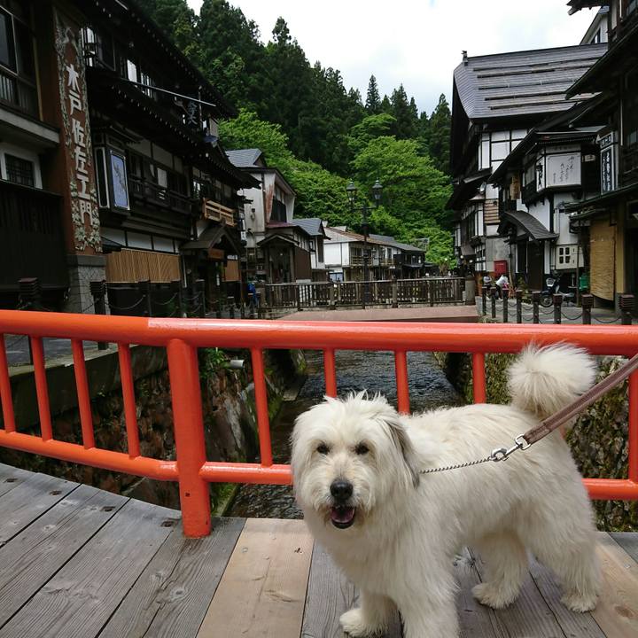 44886f04 72c0 4980 9377 e58cef452e35