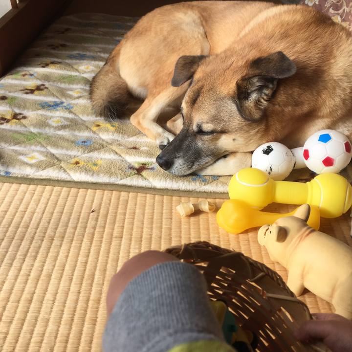 44888ed6 3d74 44e9 8819 531cc361d69c