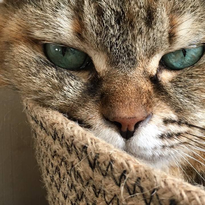 4488c2f6 20c7 495e b8c7 ea013d759608