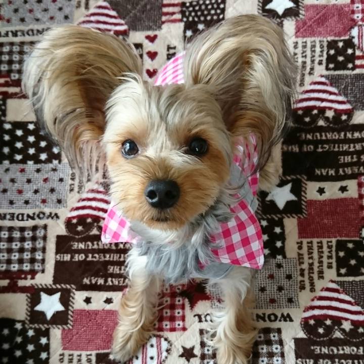 4488c592 77de 44eb adb7 285f7239ee7d