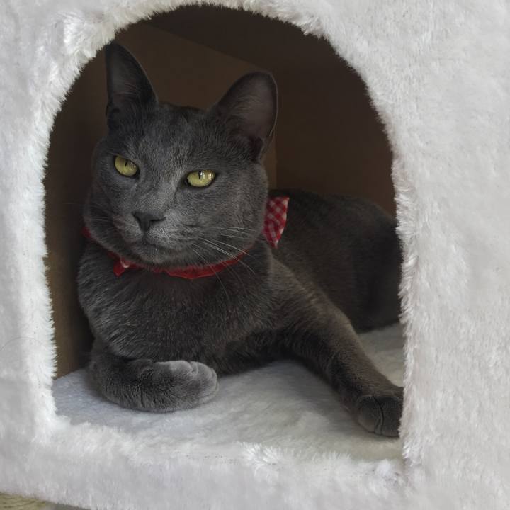 4488e102 0921 4a41 b905 ccb02f5d1a67