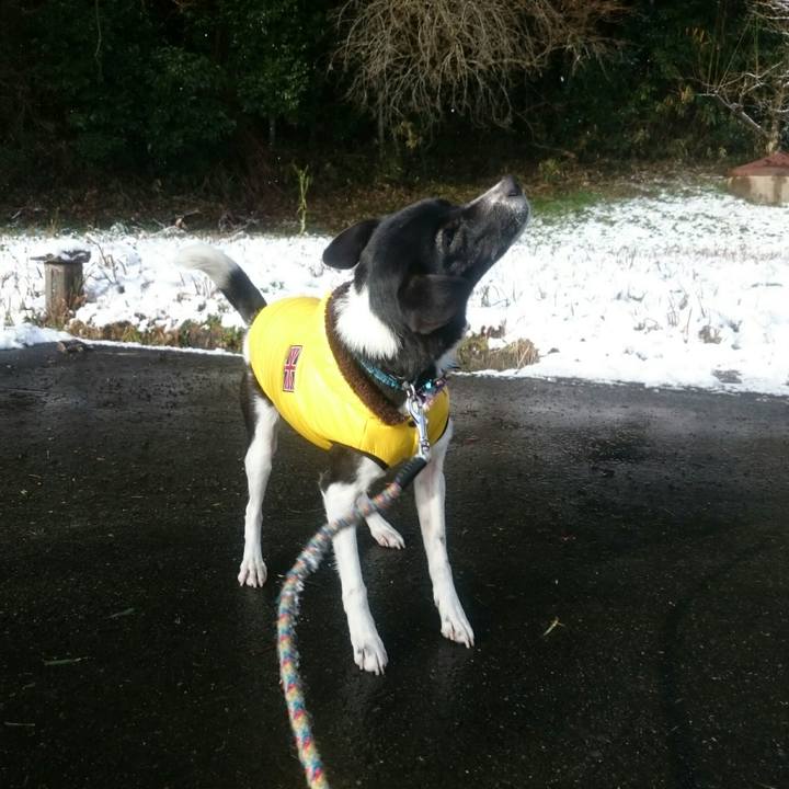 4489488d cb9b 48ec b616 3acf2a586bca