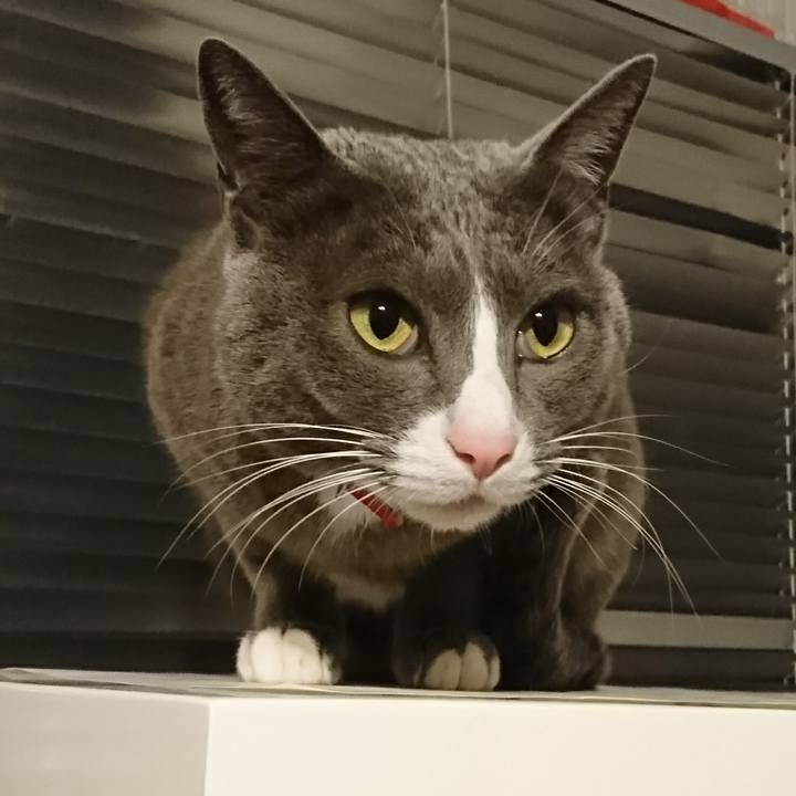 4489d976 ec56 4f96 a134 61f469e9aeb2