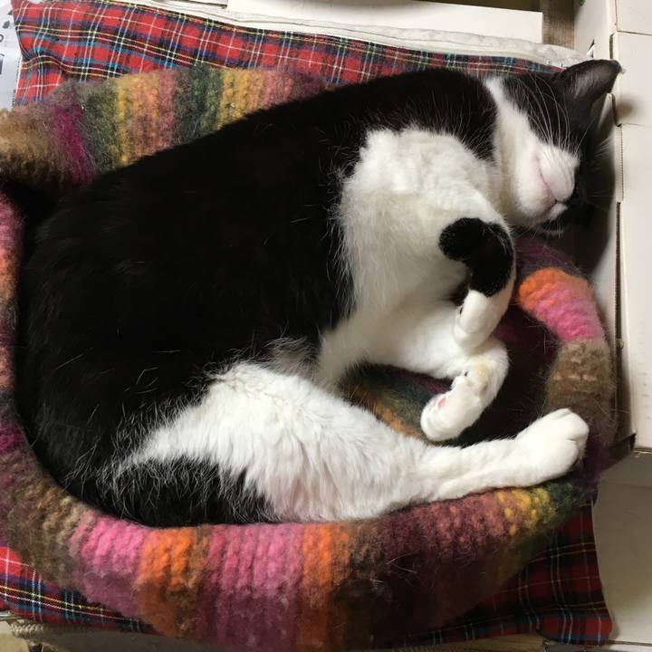 4489e1d6 952f 4b33 9d64 6c237fc365d5