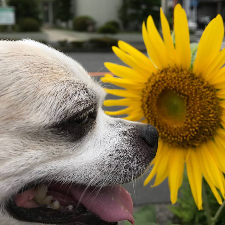 448afdba 27ed 43f3 bf6b 05d741ab0099