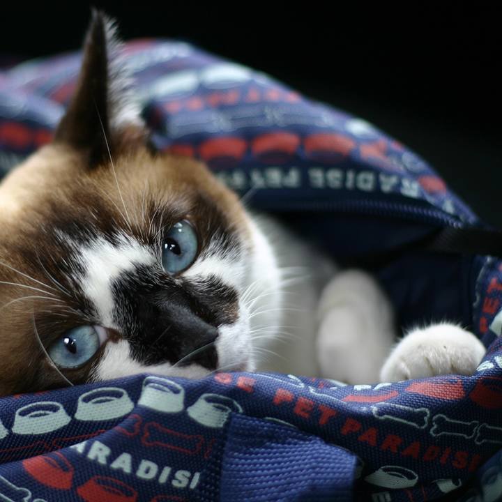 448b505a a15a 48d3 9c2f 084454ff06ba