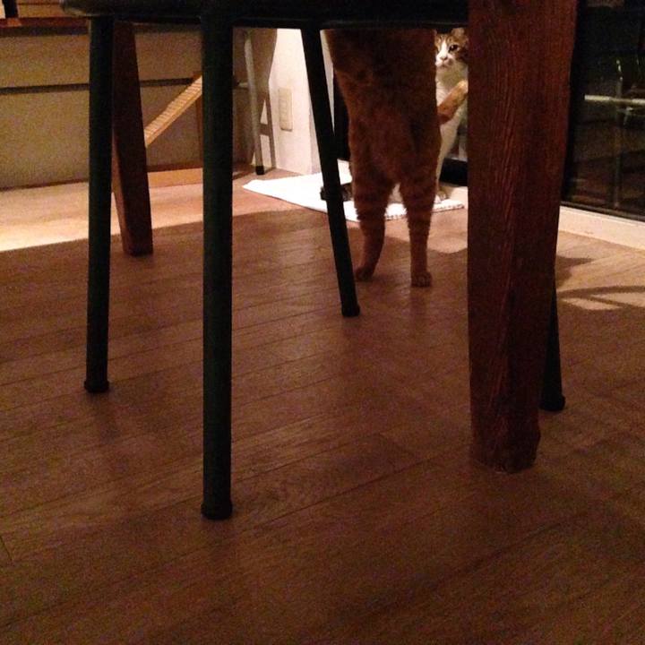 448bb917 1aa0 42b3 b76f a977ba108b76