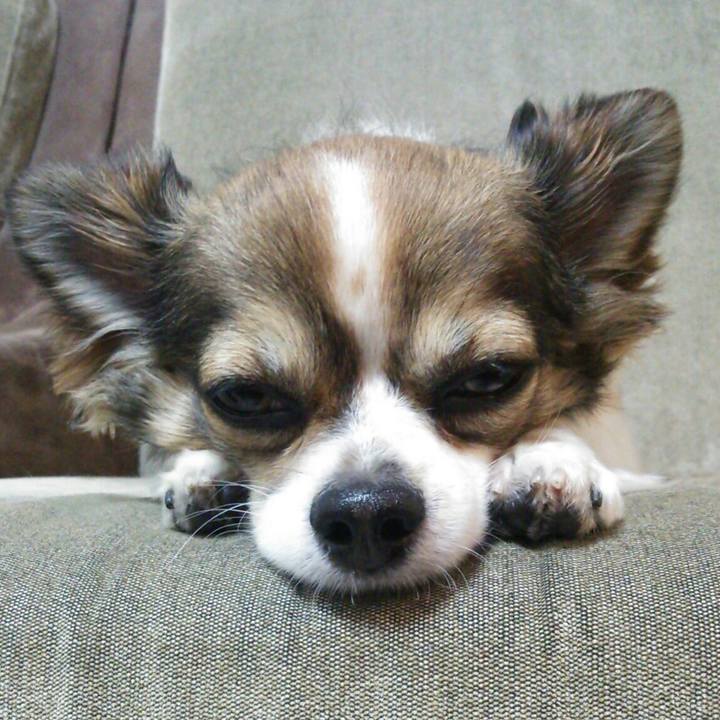 448c825f a760 4661 9447 a53515f6c1ff