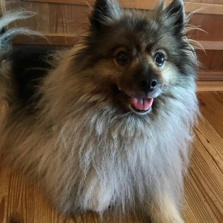 448c9930 a3f2 4e6c b739 fe279d4ef1ff