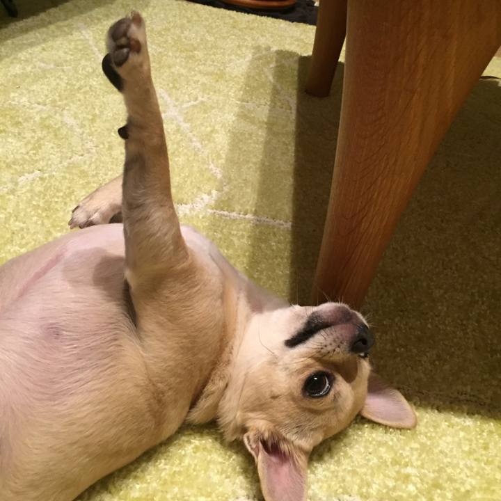 448cb3d1 53ee 4542 81b1 f85da2b67fac