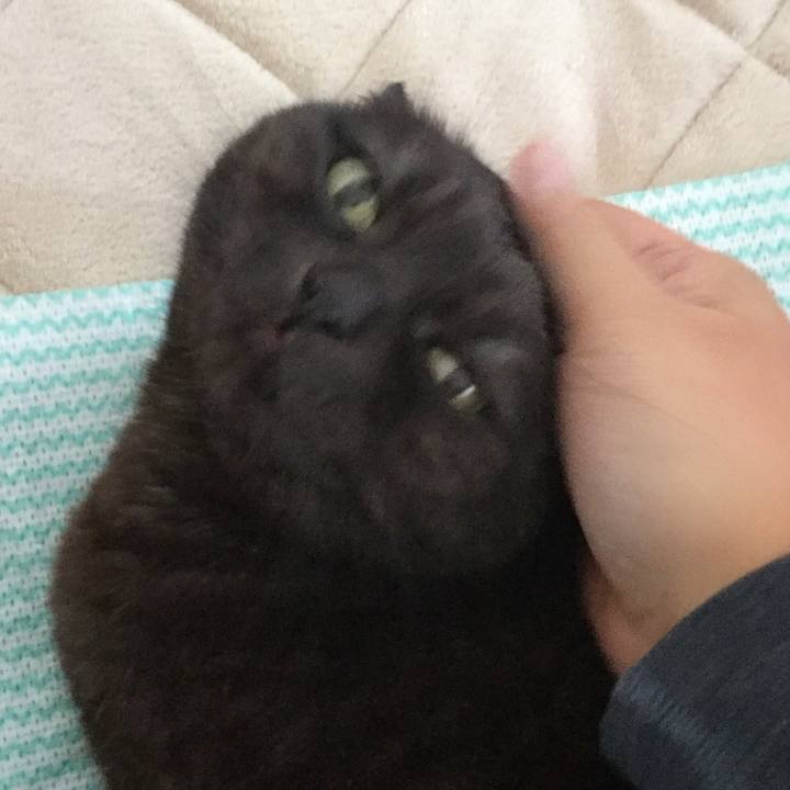 448d2f88 cb0a 4eea 9ccd a1b11e0cabf1