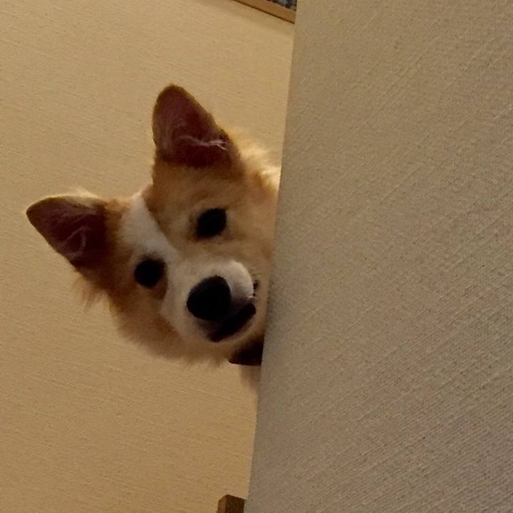 448d4a68 ab9c 44e9 84c1 633885e2ffdc