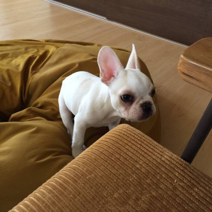 448d8656 62bf 4667 8e3b 87294e5bd9f0