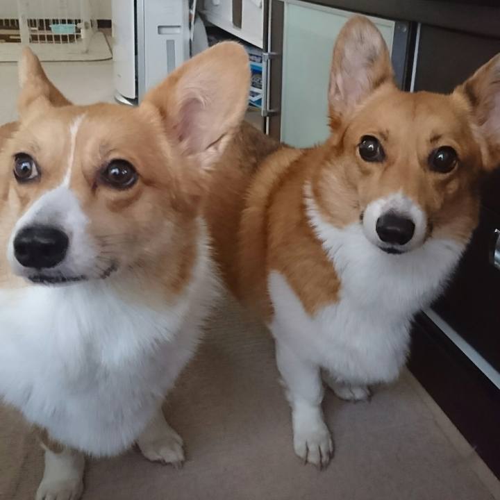 448e59ae 13d5 4d9e b001 266c2ddb1699