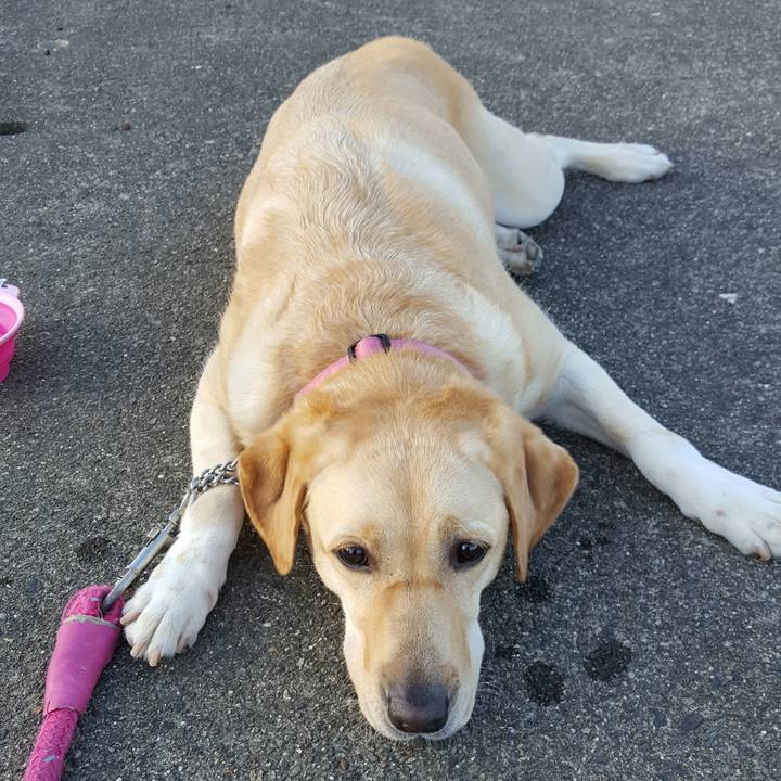 448e8338 3fe3 4944 b30a ea6d5a24cce0