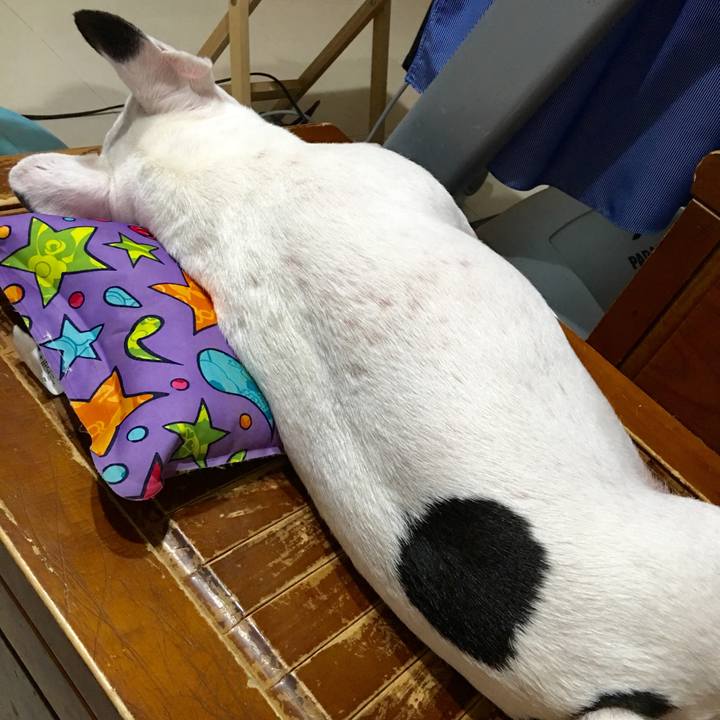 448ea675 2609 4305 9080 bb38b4886eec