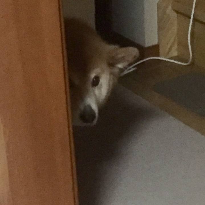 448ec480 8e0c 4221 85b5 b39d3cafe0da