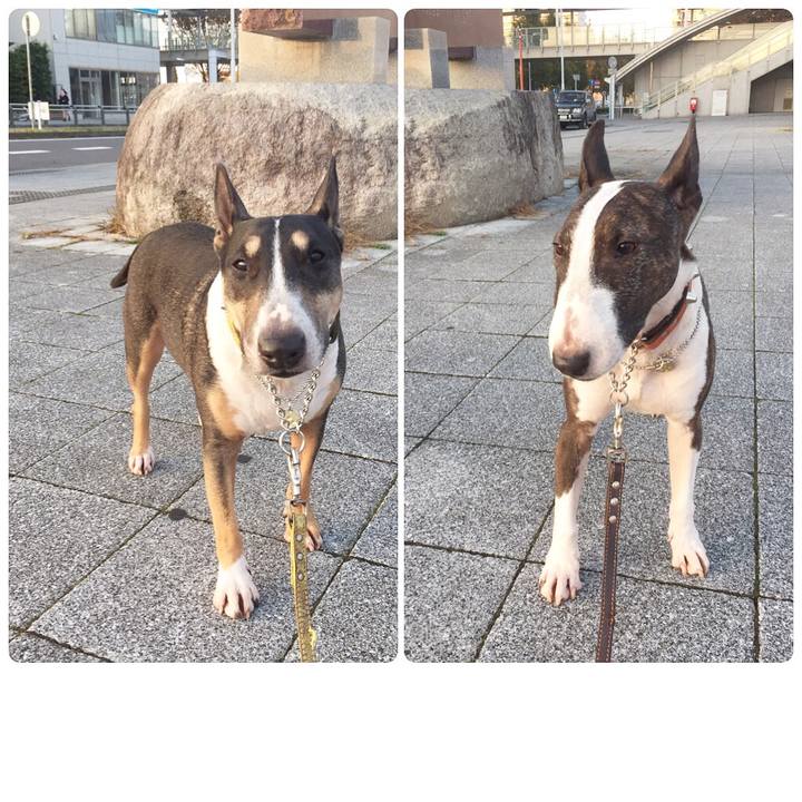 448f0d3c 2bb0 4349 8fef cde52917d508