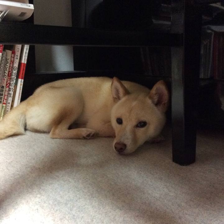 448fdde9 8e0f 4332 a840 707c5ee1b560