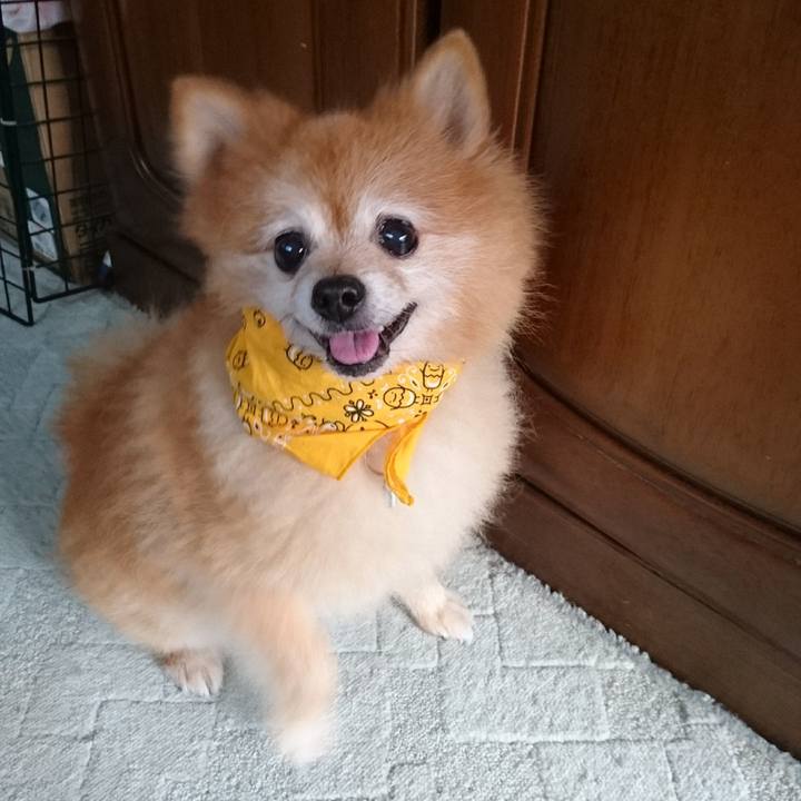 44901028 c367 40f4 ad10 ed55d74b4ee4