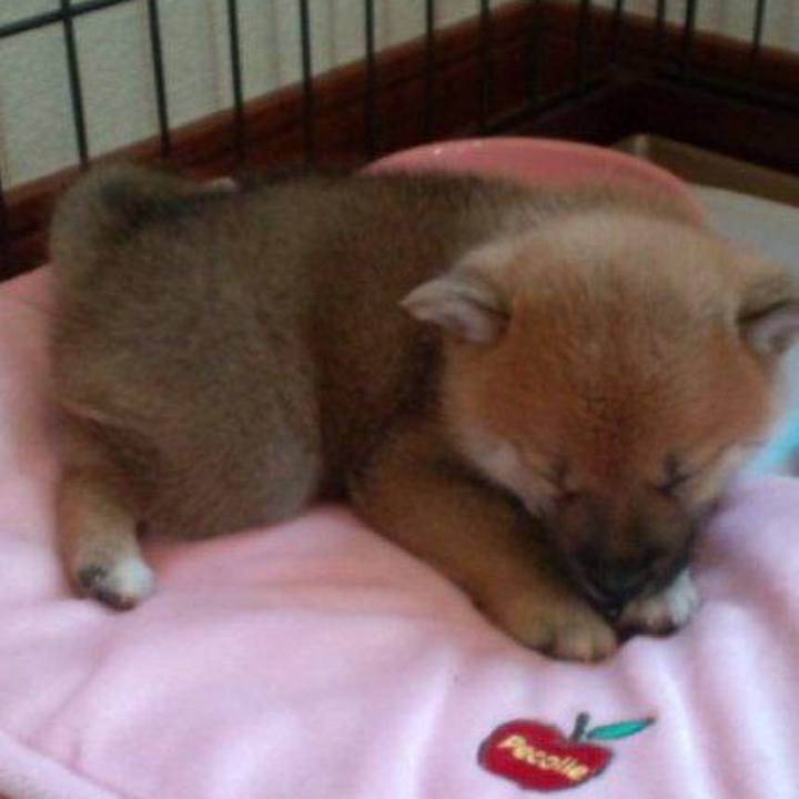 4490e2e1 5940 42c3 90a8 921f34955e1e