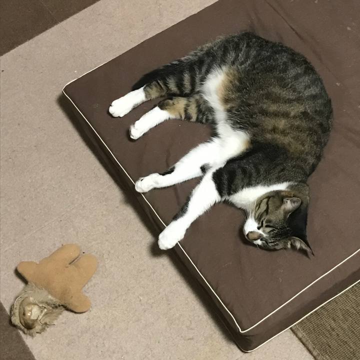 4491e98c 3107 41c4 9d88 3c6bc9acc47a