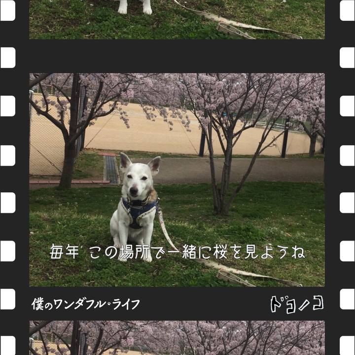 44920f9f 56c6 46ef b618 bfc0f76a9a8f