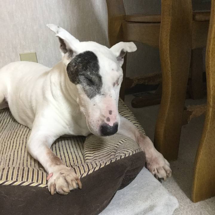 449244ef 93bf 4856 855d c5b074647c8f