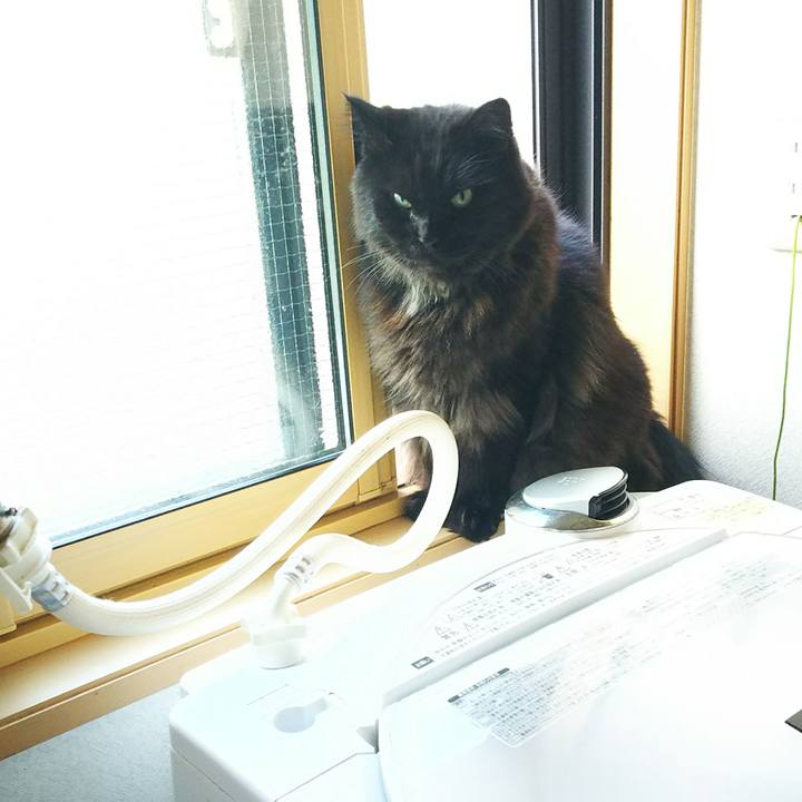 44925caf 7d49 4b74 a34b 6a98f84015fa