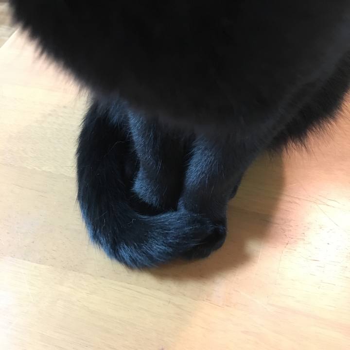 44929c0e 7082 447b 9143 779e06b6ca93