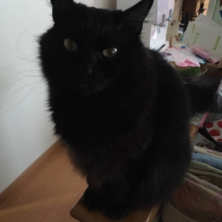 4492be87 490e 4d43 93f7 30132f7e8f49