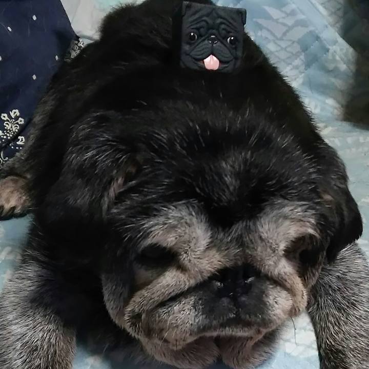 4492e064 3175 4866 ac82 17e52afc5db6