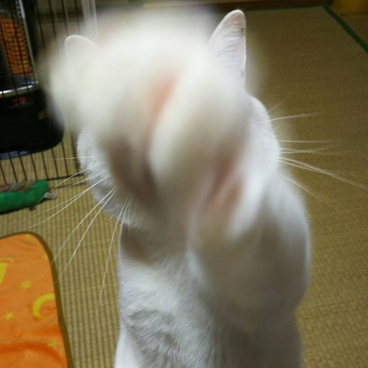 4493181a 8913 41f1 8ff9 7b0e7cf98076