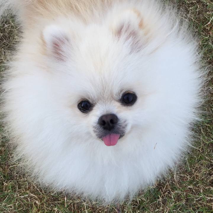 4493e1f7 eadb 4b0e 8315 5986713bab36