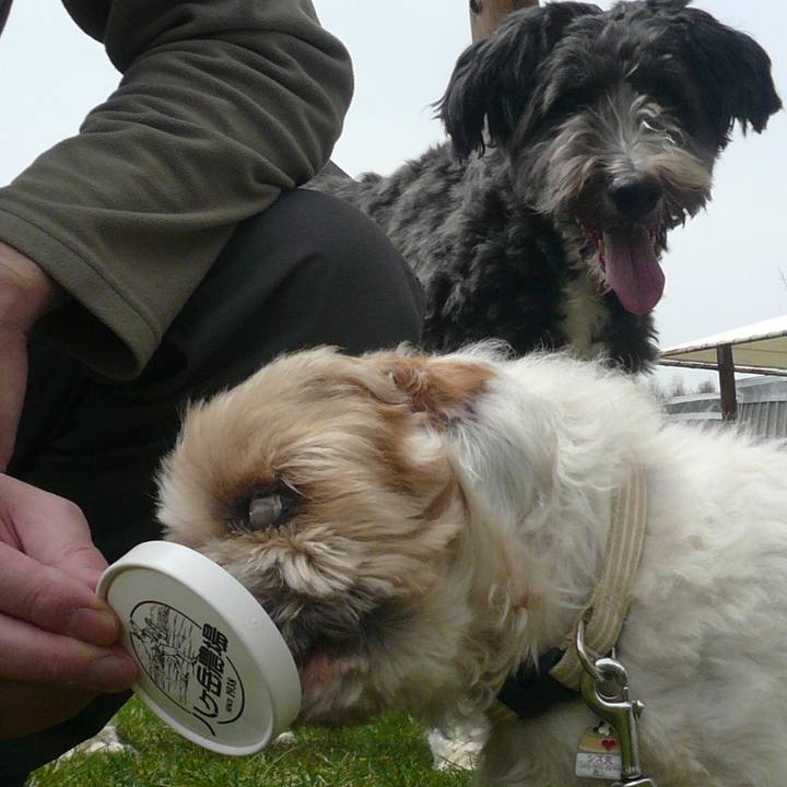 44944ee7 20b7 44fb 9ab1 b836139372cc