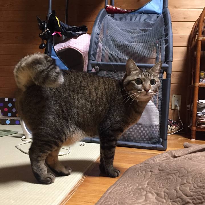 44948778 1006 4c5c b64a a8742f978d73