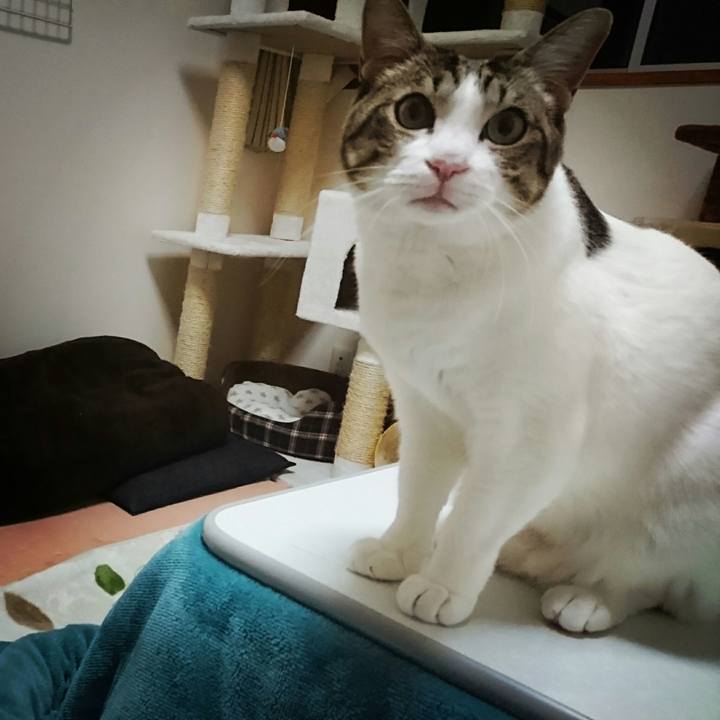 44952aeb e79b 4046 a697 e14c6ae50873