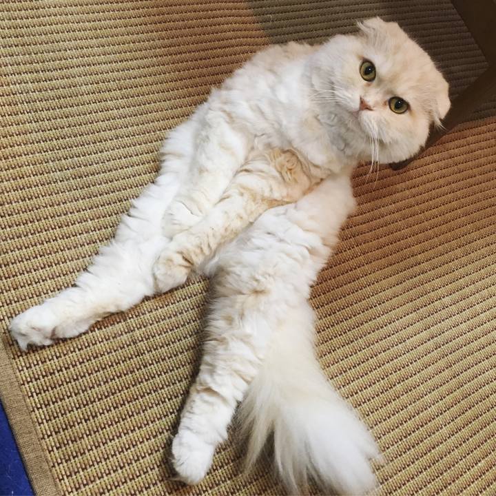 4495617e 62d6 4bea b098 9662c183d275