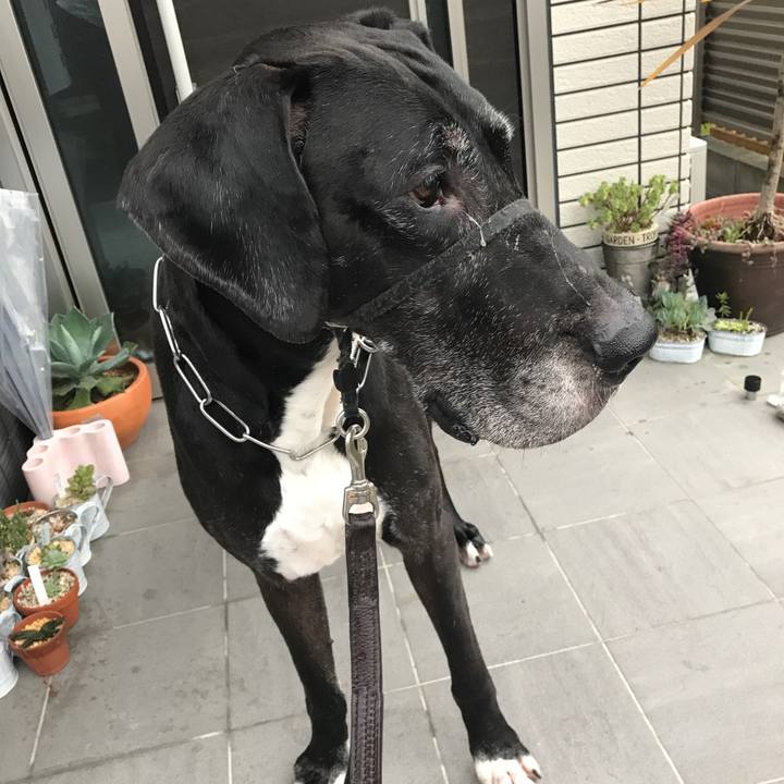 4495892d cf0a 4dc1 97aa cc1d9a180dd5