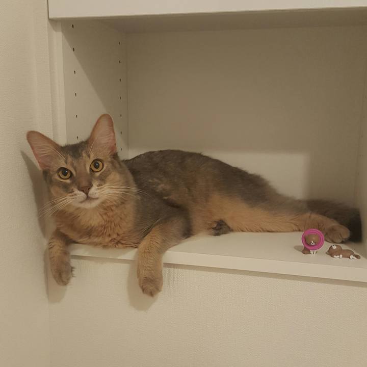 449757a4 284f 4935 8b4b c339be4a88b5