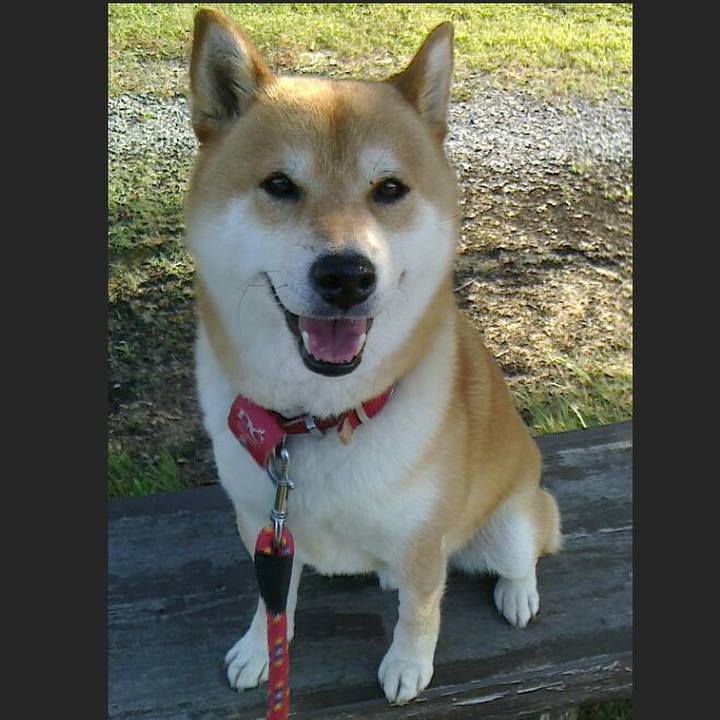 44976d6b d9d6 430b bbed 280b5044bb0d