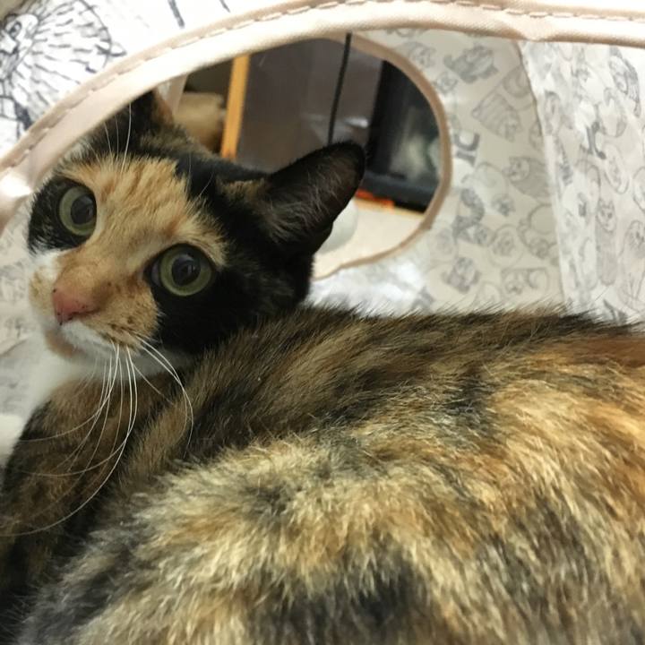 44979675 e31f 4718 aff2 02f099fabcbc