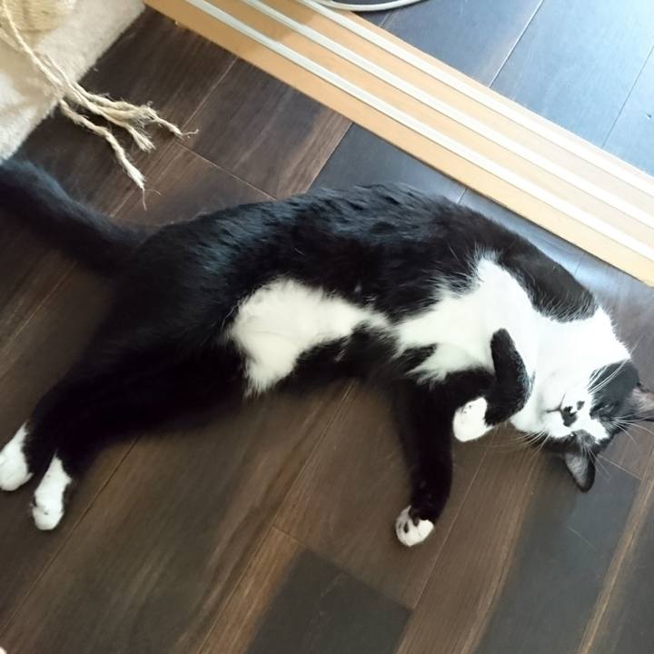 44983315 a1c1 43ee 801d 8ca6bd8f66c6