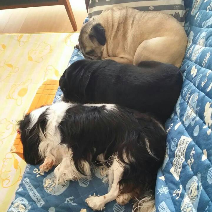 44984af7 d95b 440c 9392 b2c290de1f58