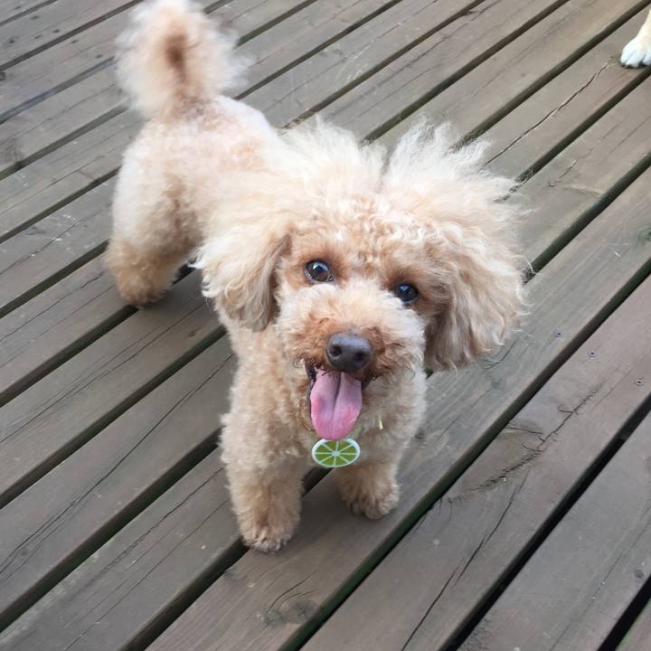 4498ae53 f357 4c46 8cfc d2a1250719d5