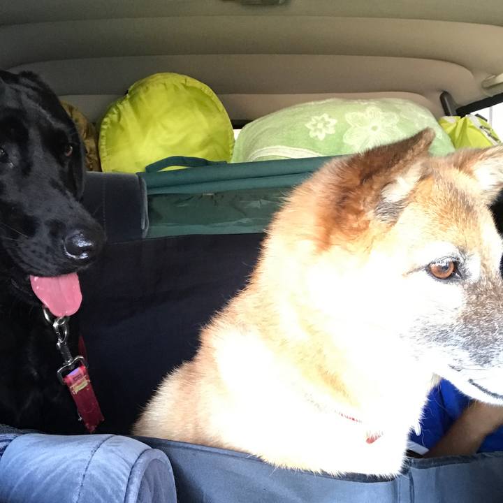 4498b6d3 04e3 4100 b8a8 53365052871f