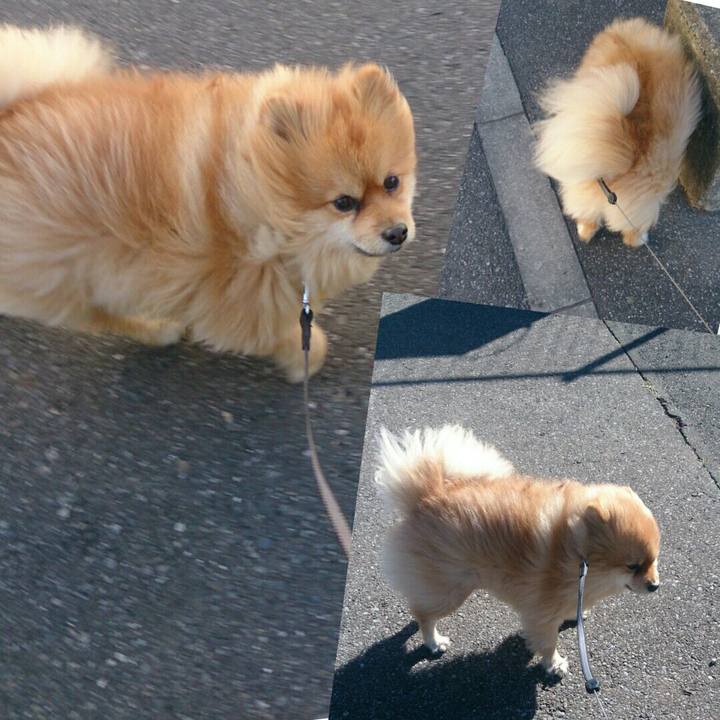 44992b7f fd28 41dd 95e7 bff18bd4818b