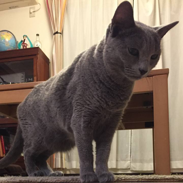 44994def 03bb 4c33 aa2c dc936a2cfa87